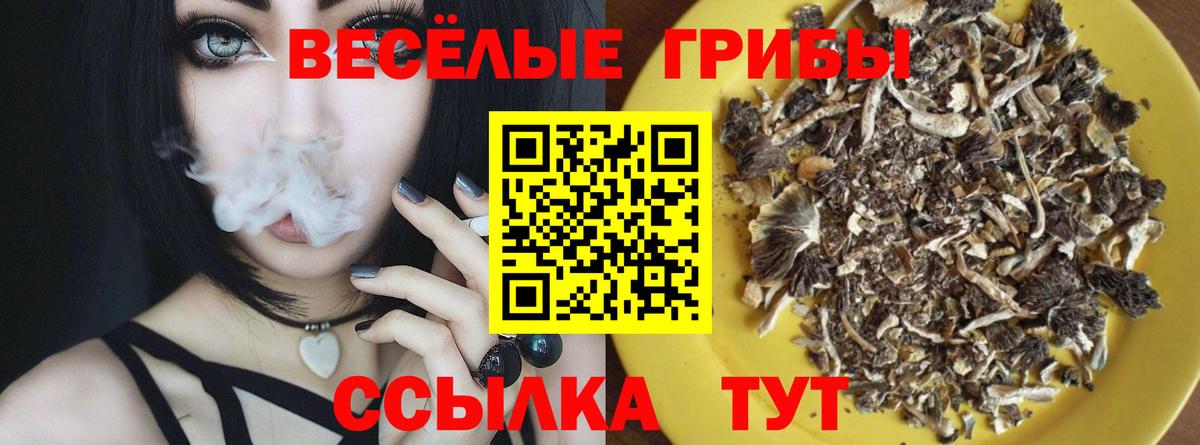 Луга  Галлюциногенные грибы Psilocybe  Вход с VPN 