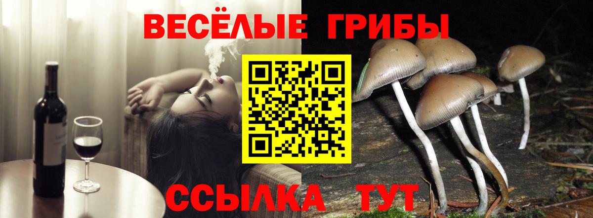 Псилоцибиновые грибы Psilocybe Луга