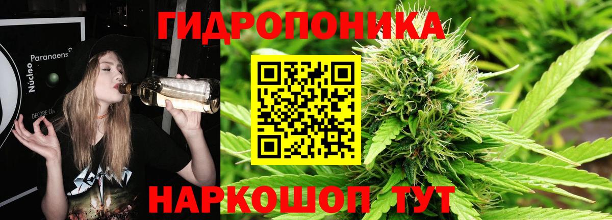 Каннабис план Луга